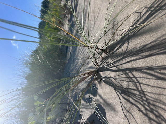 Ahlbeck Tagebuch Tag 1